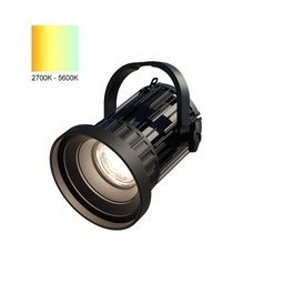 Compact Fresnel Light Bi-Color with integrated Zoom